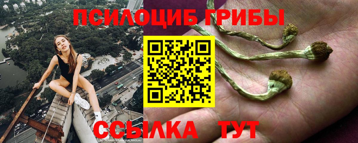 Галлюциногенные грибы GOLDEN TEACHER Нижнеудинск